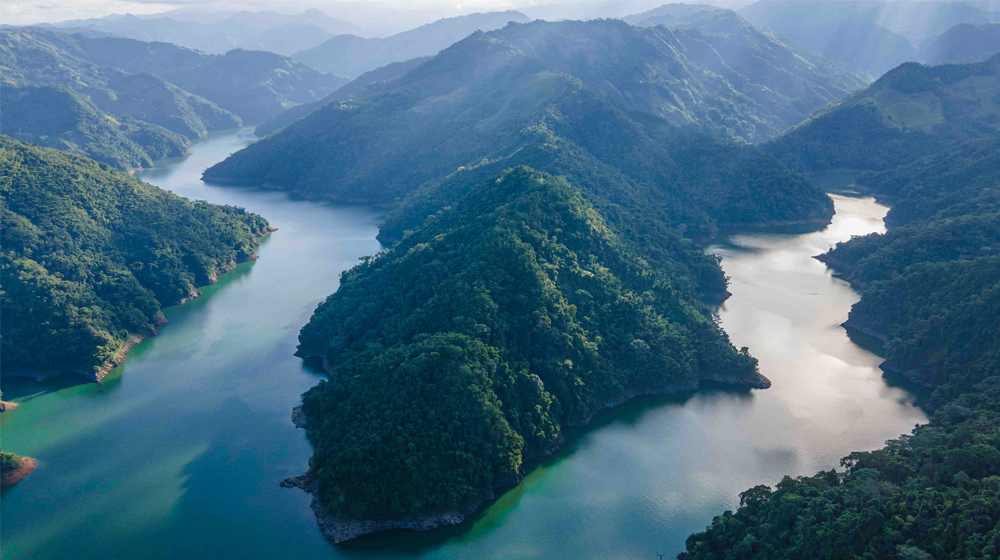 La miel, Colombia